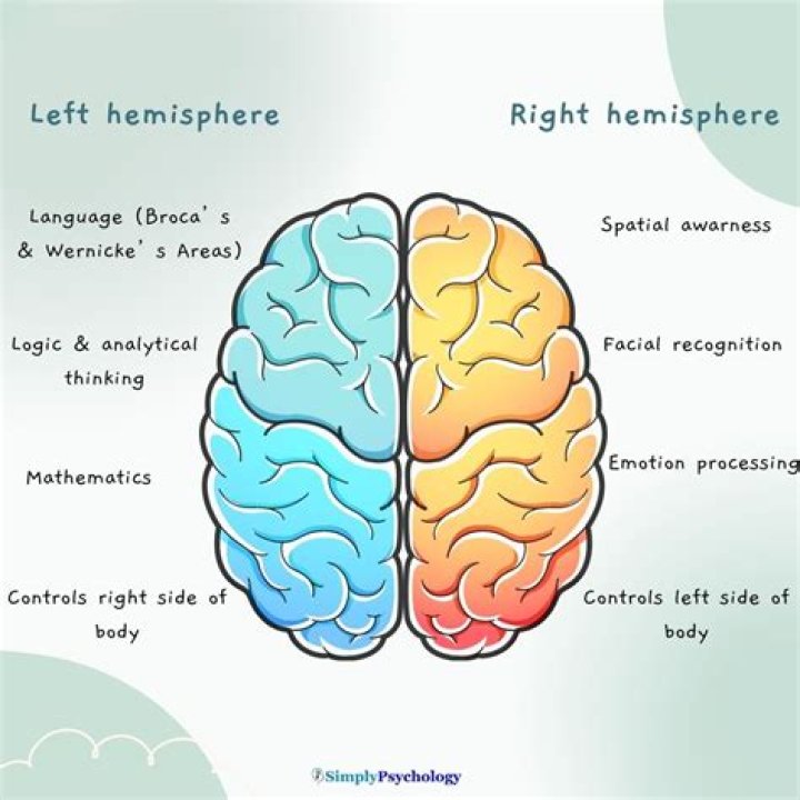 Would speech be affected with damage to the left hemisphere?