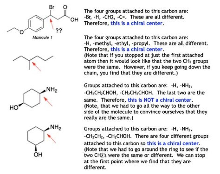 Would there be life without compounds?